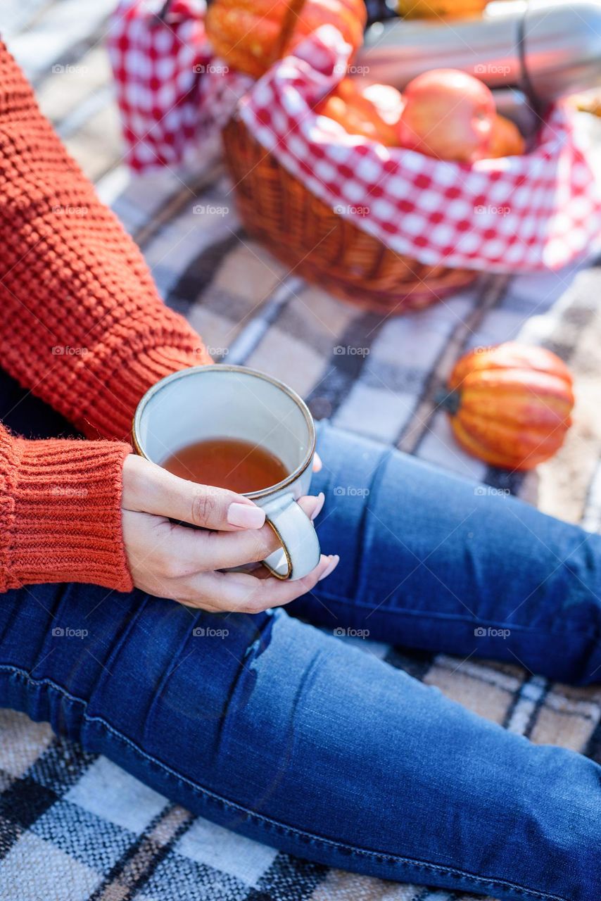 picnic in the park