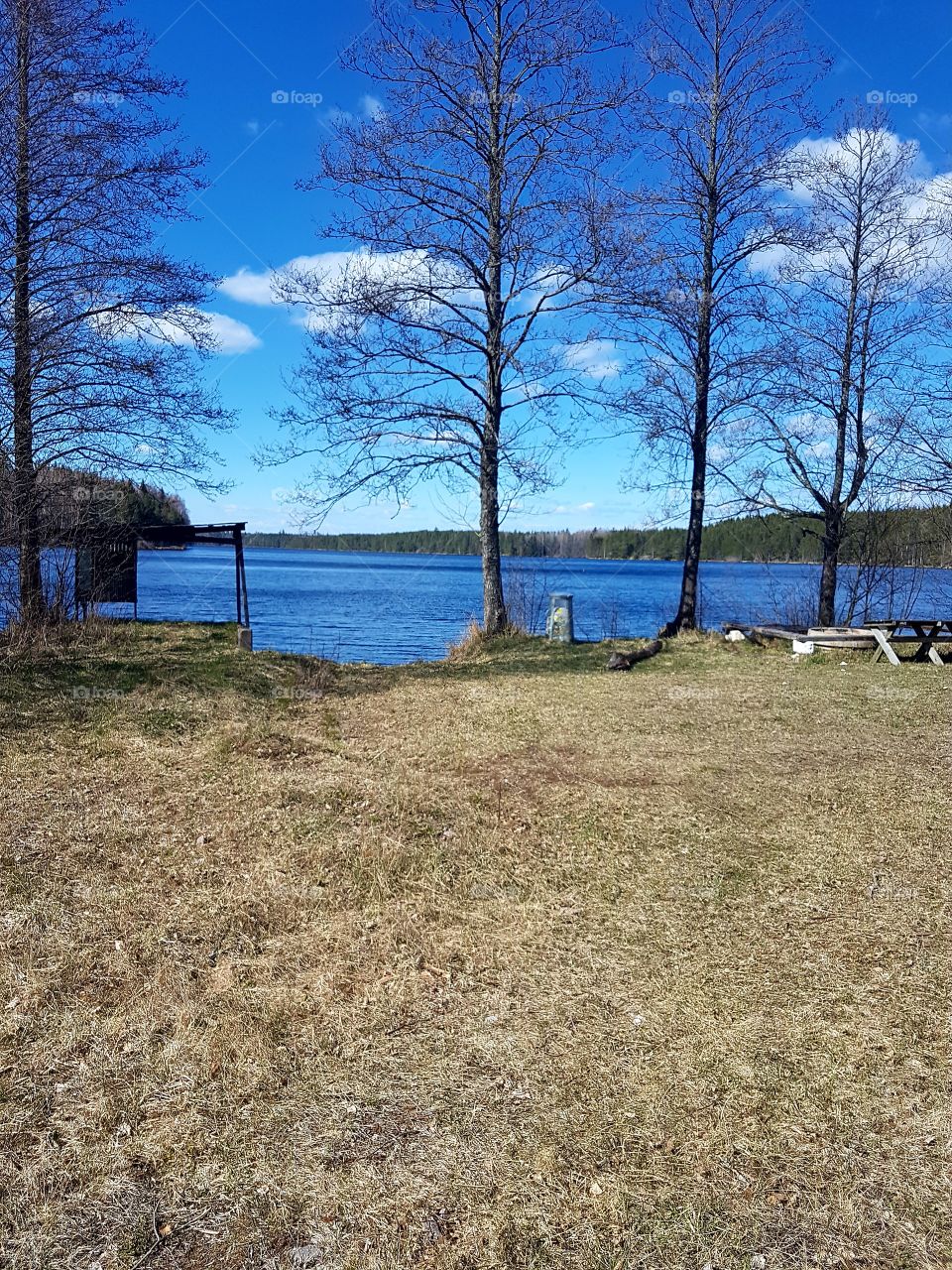 nature
lake