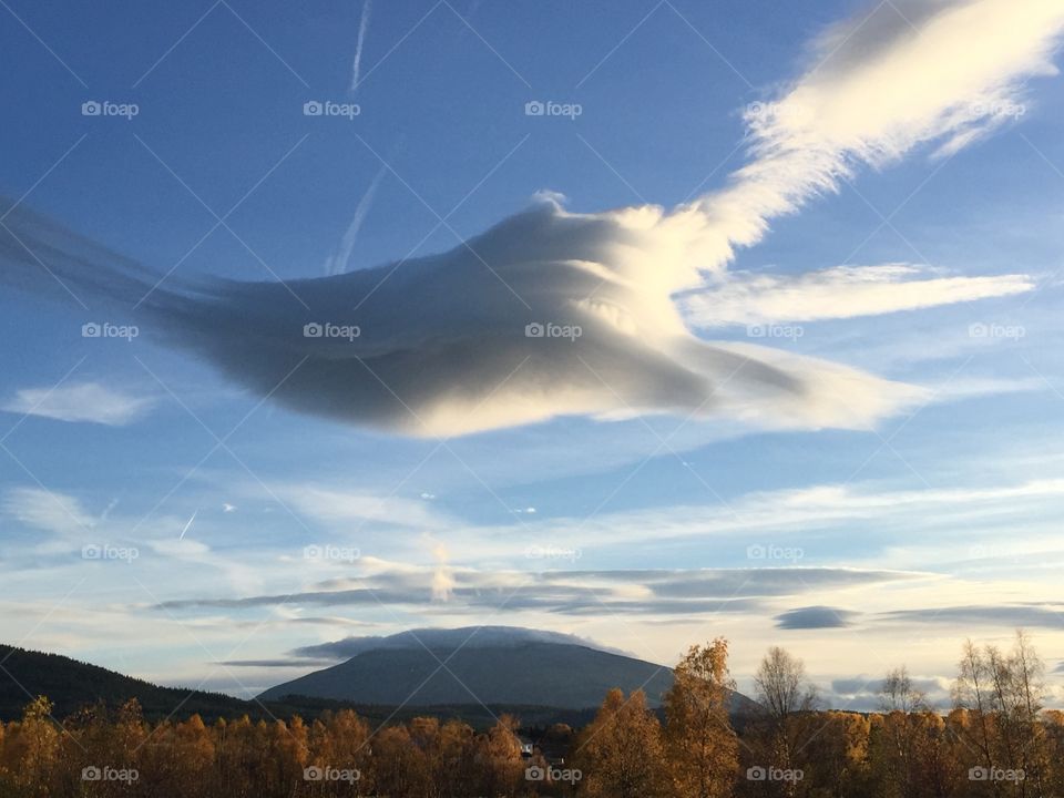 Cloudy sky against autumn tree