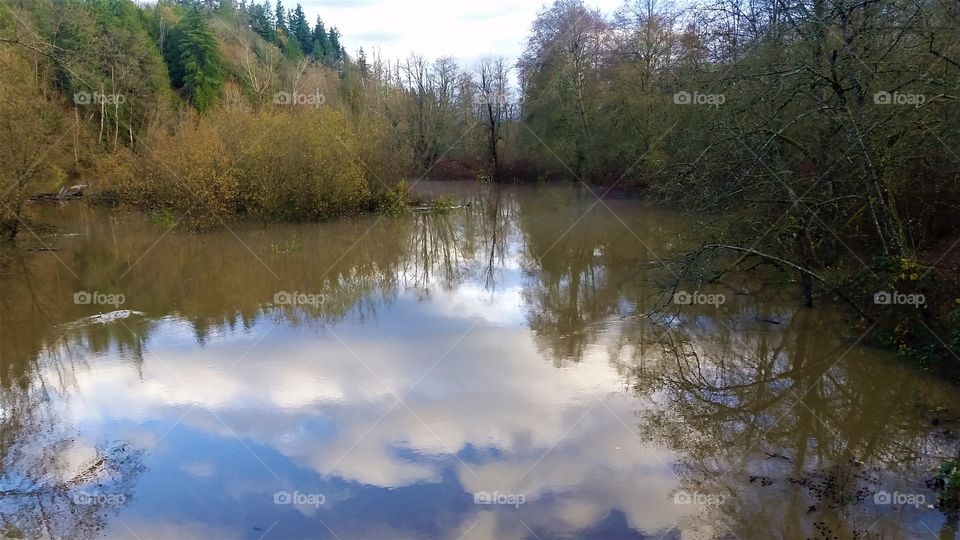 reflection in the flood