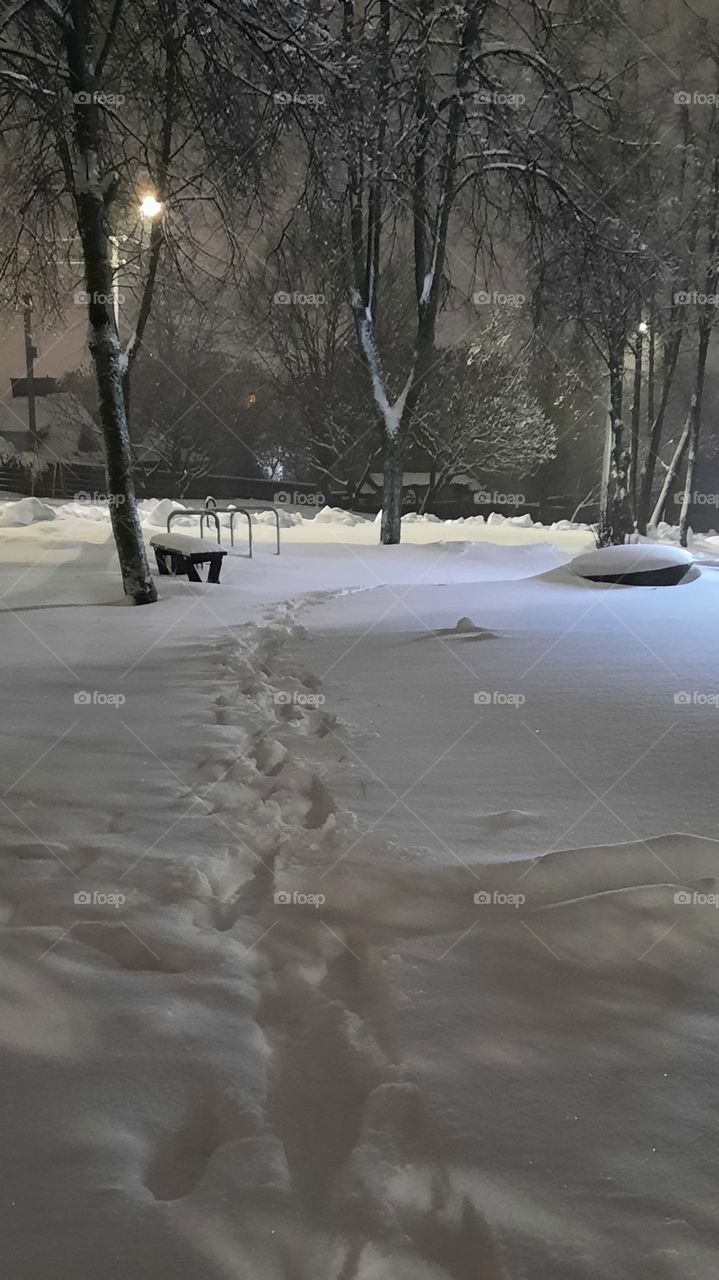 snowy benches