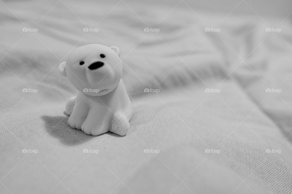 Tiny Polar Bear- monochrome image.