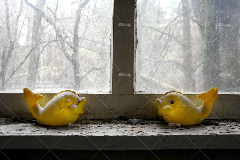 Toy fishes at the window (Chernobyl)