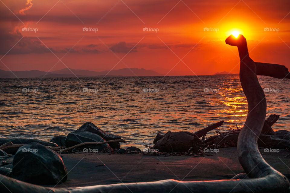 Sun composition of a beautiful sunset over a wooden log