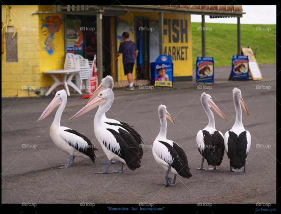 inconspicuous crime.