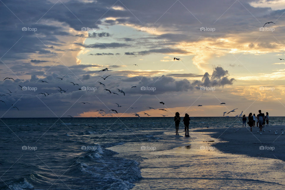 sunset at the beach