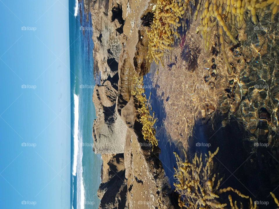 Rocks and Sea