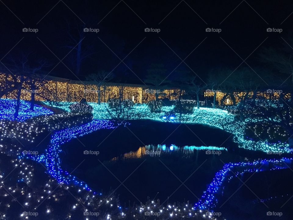 Nara Park Light Up 2018