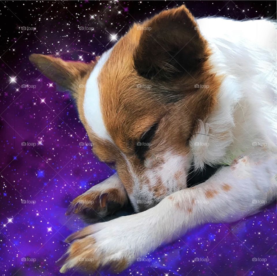 Dreaming about the galaxy! 🌼