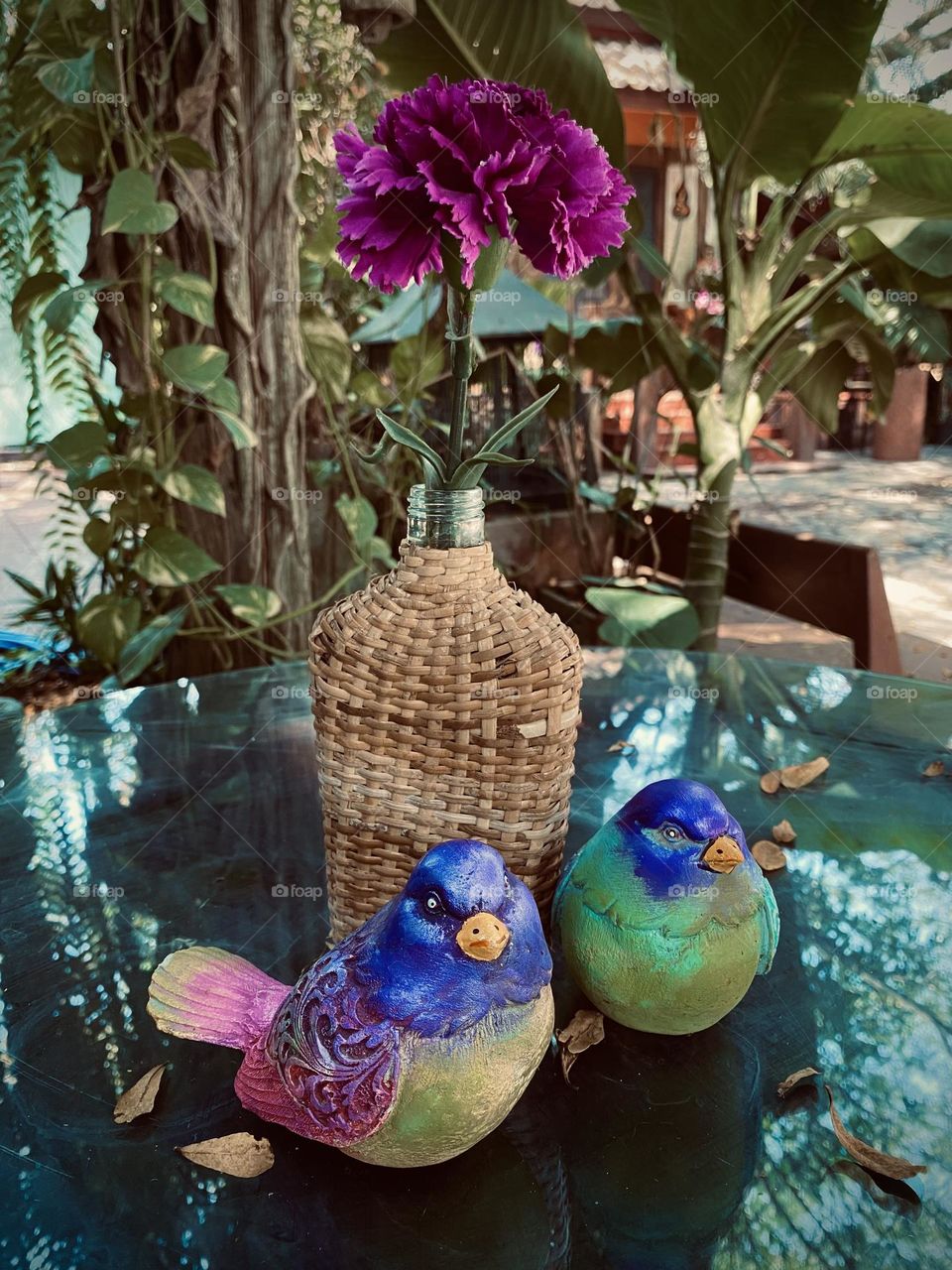 Lovely birds