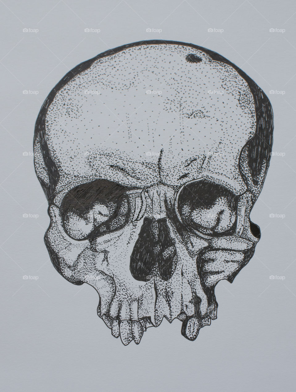 Dotted Skull