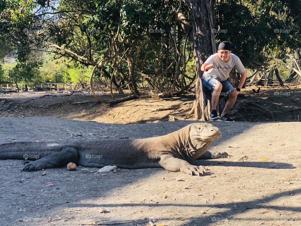 Komodo Island at Labuan Bajo, Indonesia