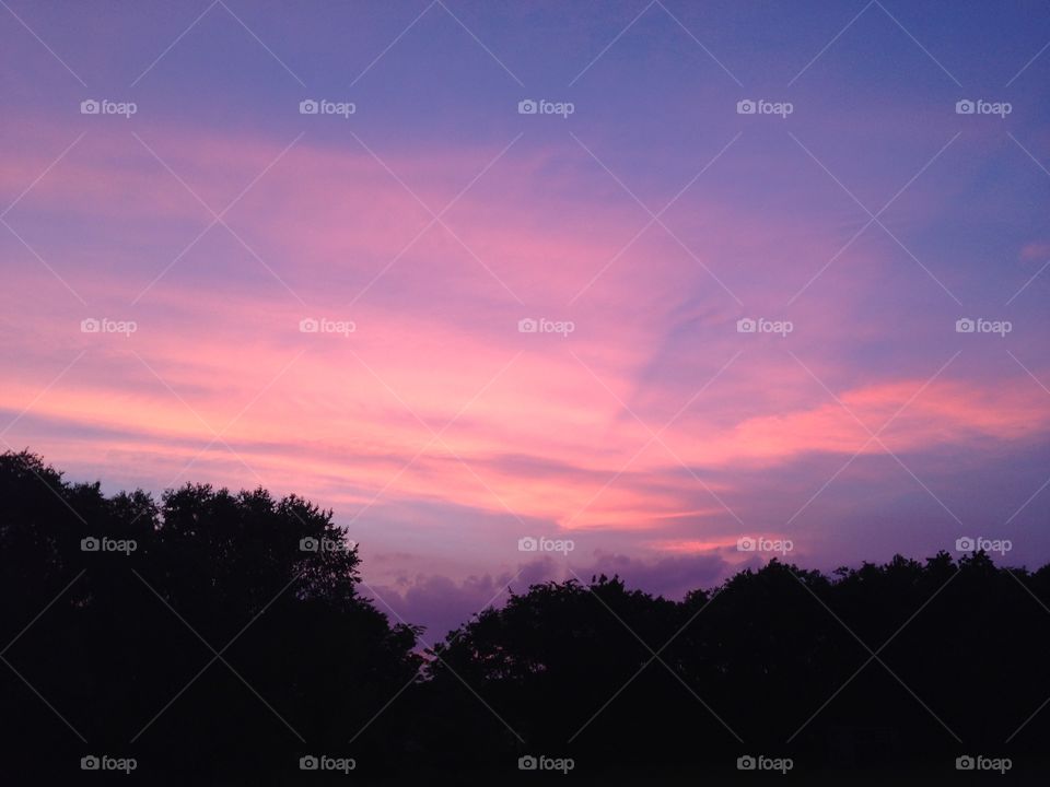 Purple West Sunset. Tree silhouette sunset was the pencil