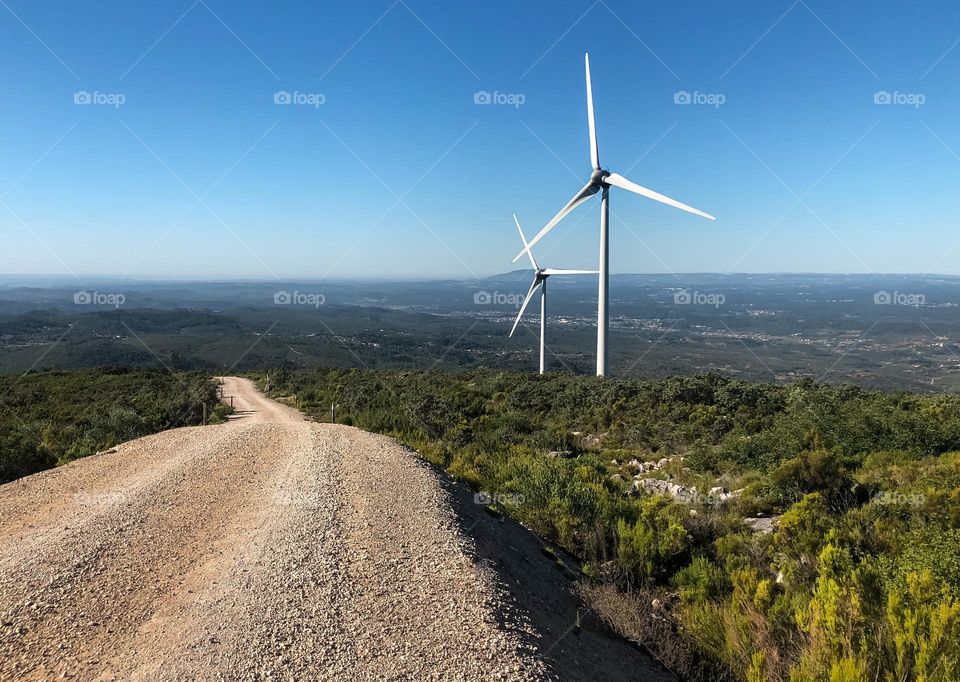 Wind turbines line the path to a greener future 