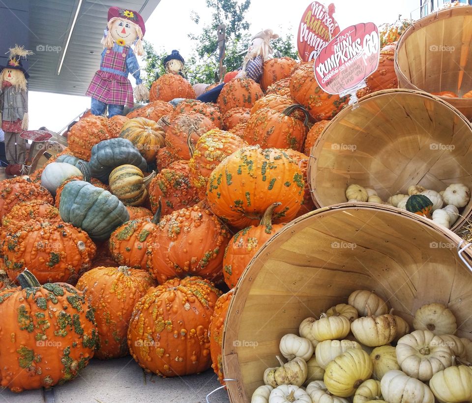 Pumpkins