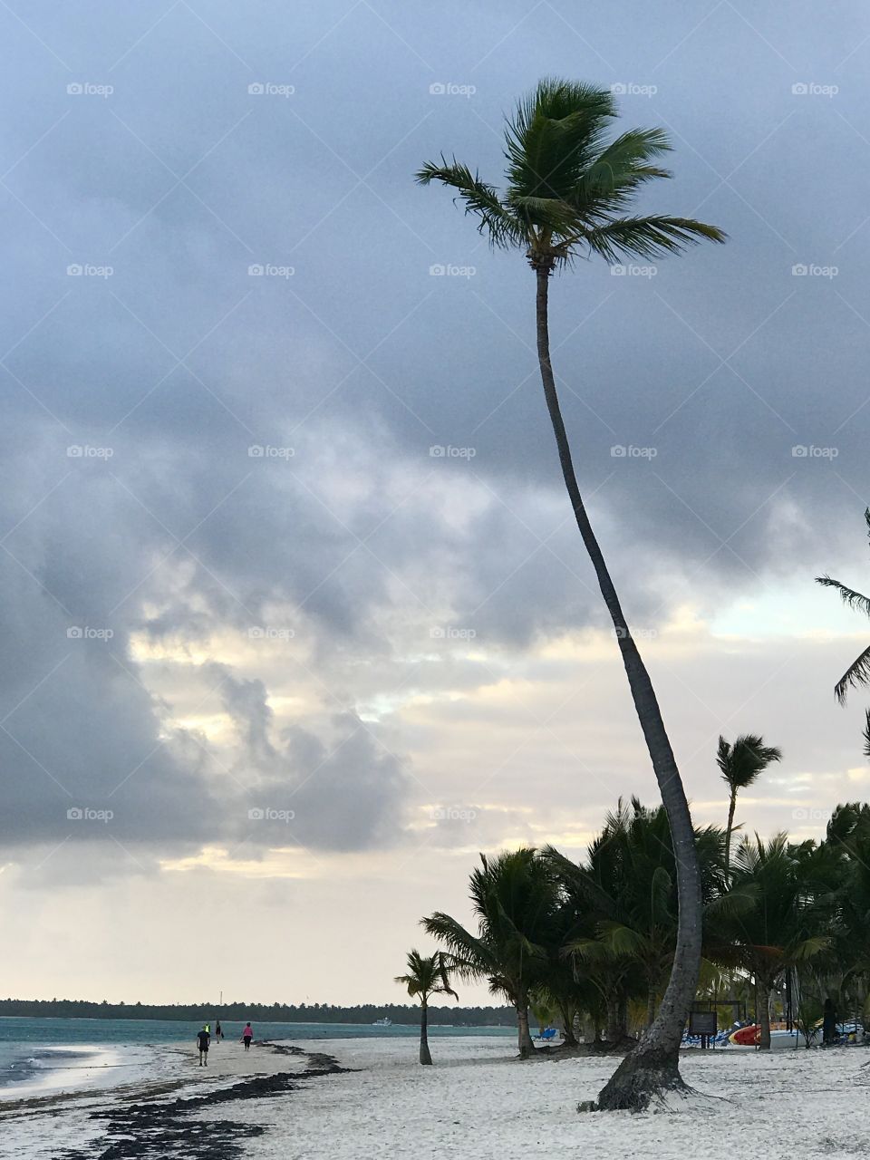 Swayin to the Island Beat #2