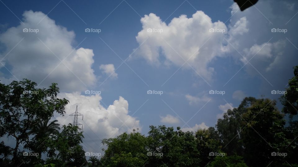 making beautiful nature with cloudy sky.