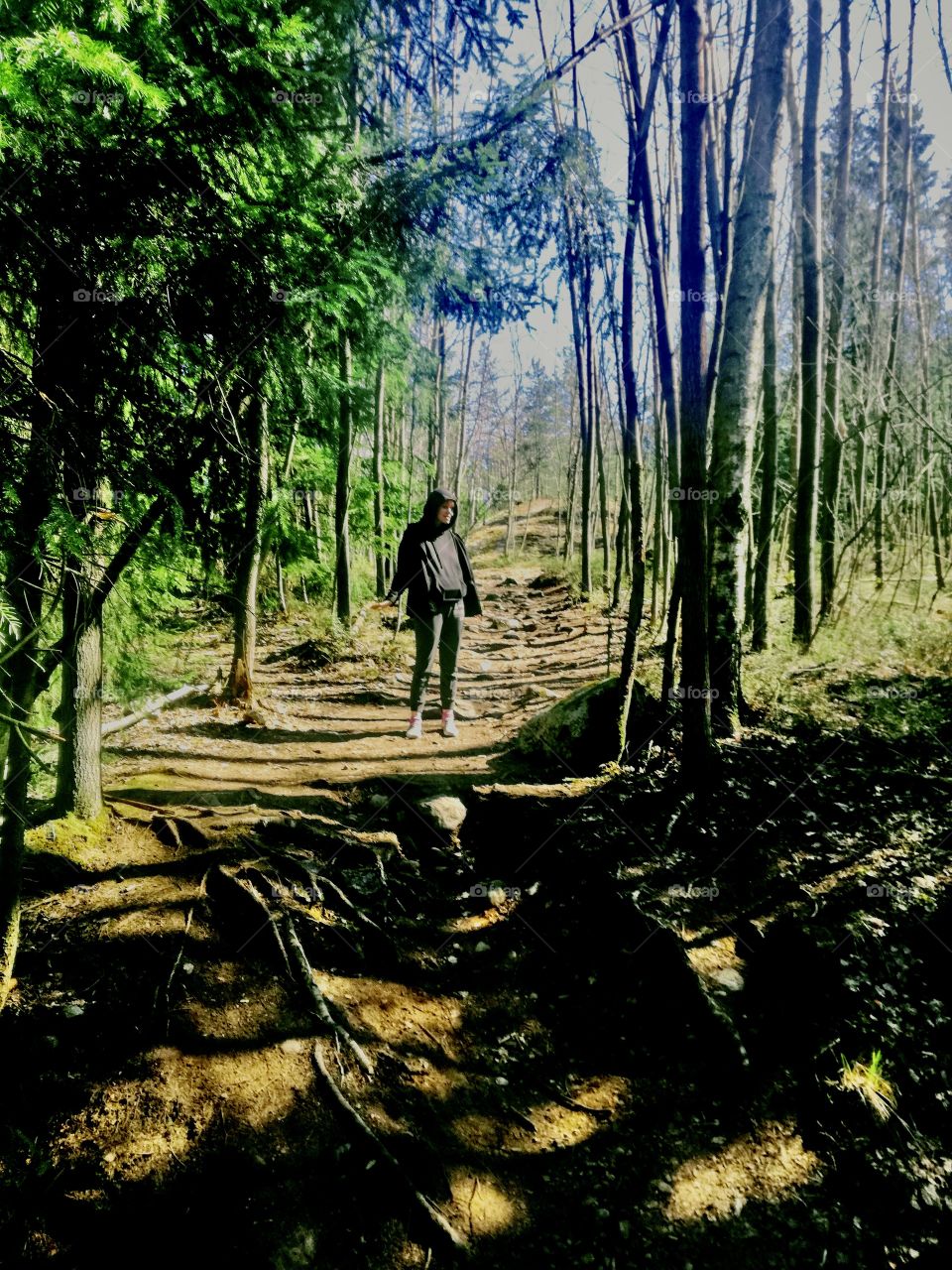 Forrest time, path striped with shadows