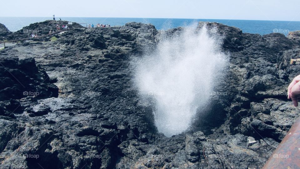 People were so amazed watching at the blowhole