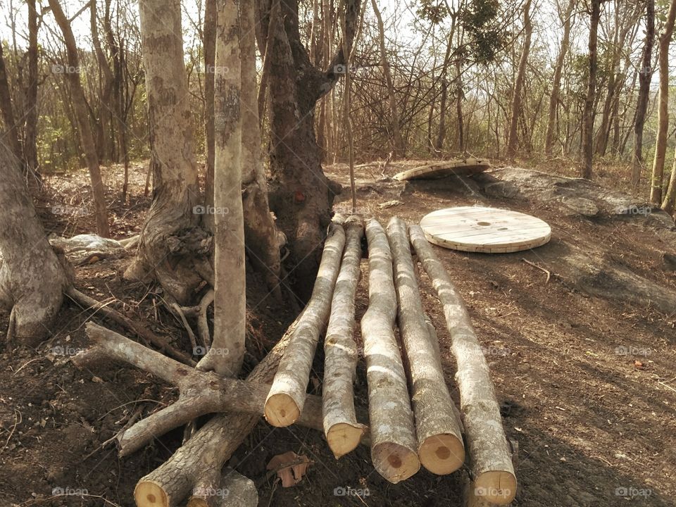 Vacay? Ready, steady, go!