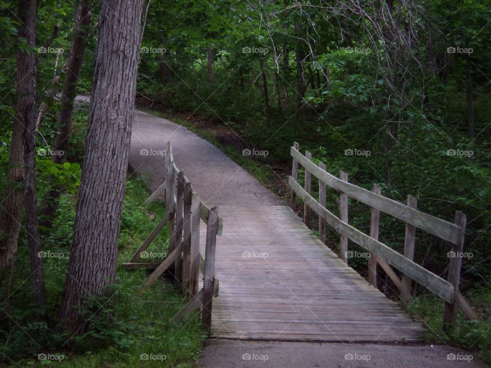 A Walk in the Park