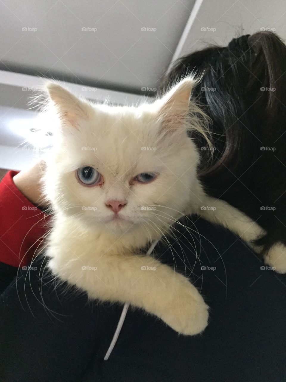 My cat just winked at me 