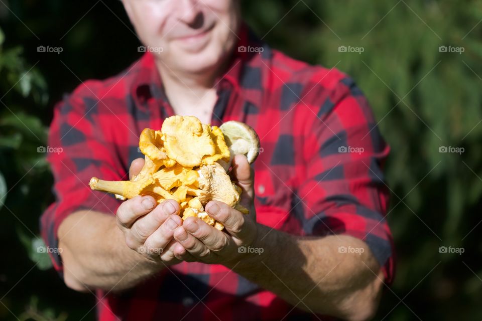 Chanterelles, mushrooms