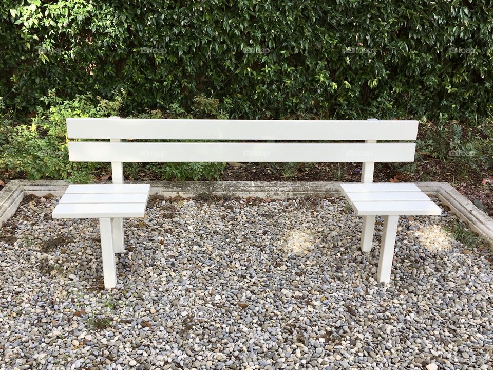White bench on green leaves 