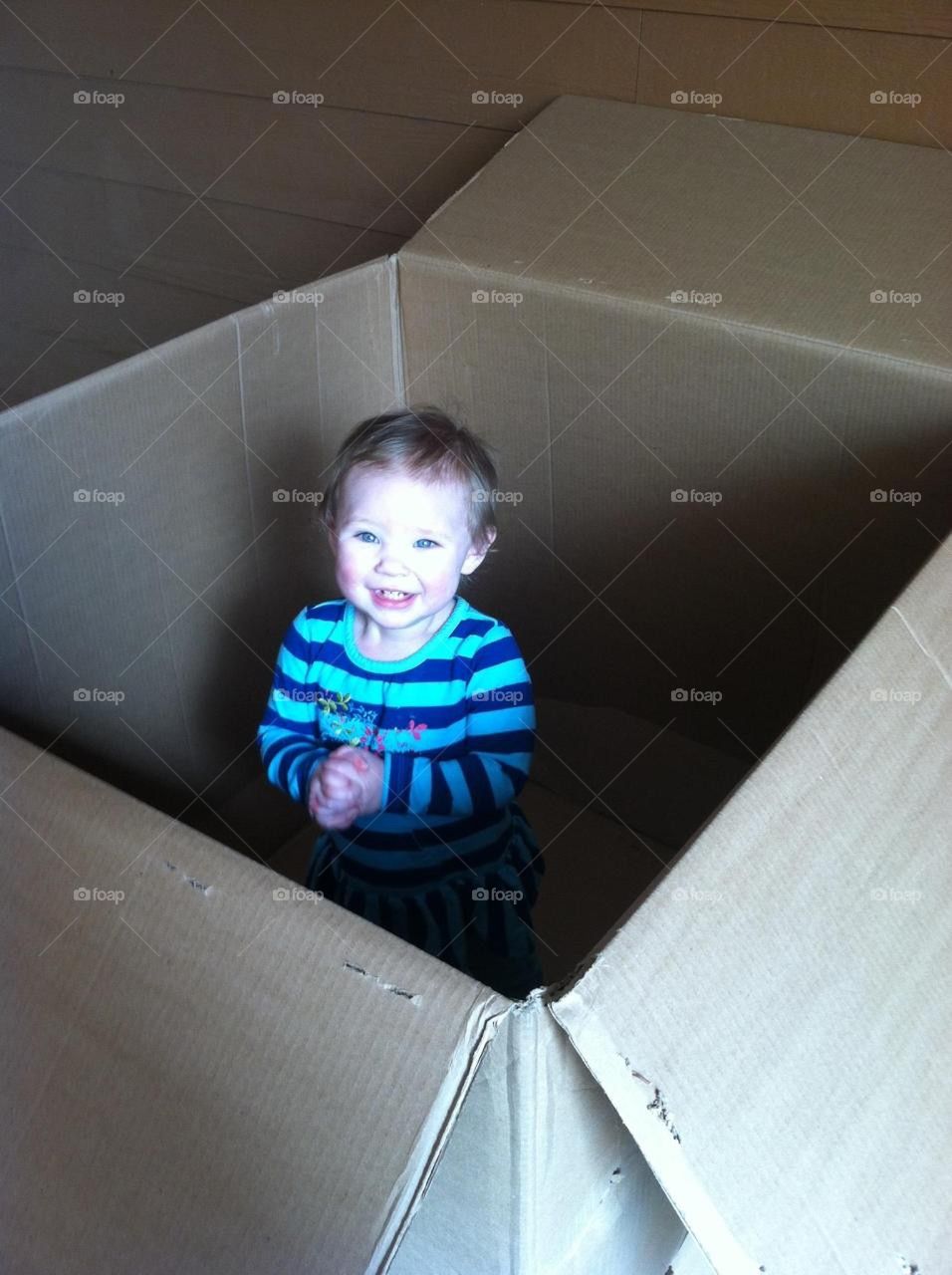 Baby in a Box