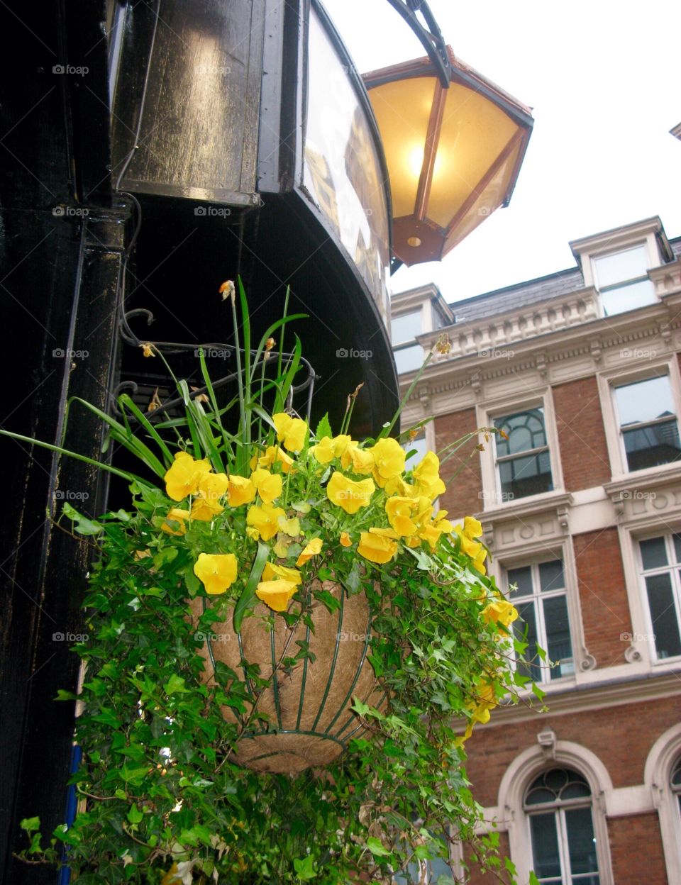 London Building with street light and hanging flowers