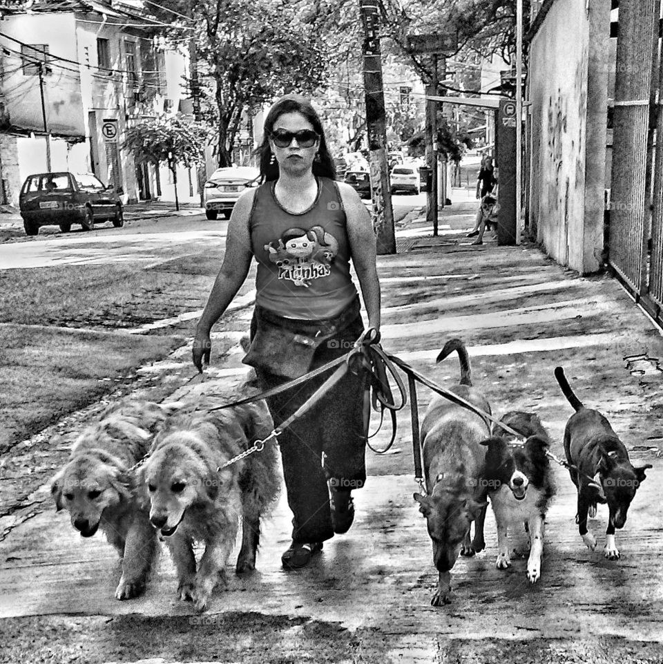 People, Adult, Group, Canine, Dog