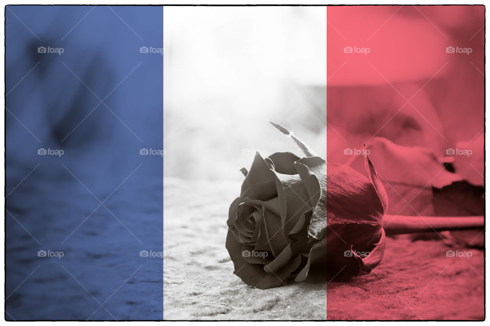 Empathy for France