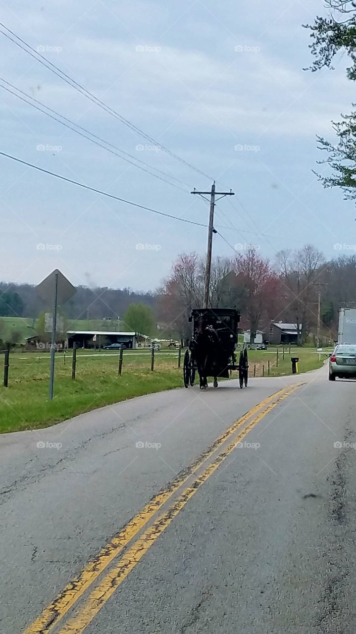 Amish buggy in Kentucky