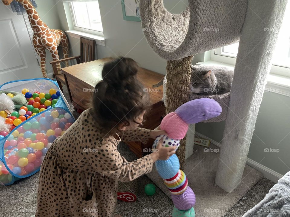 Little girl excited to play with cat, toddler girl tries to play with cat, chasing cats in the playroom 