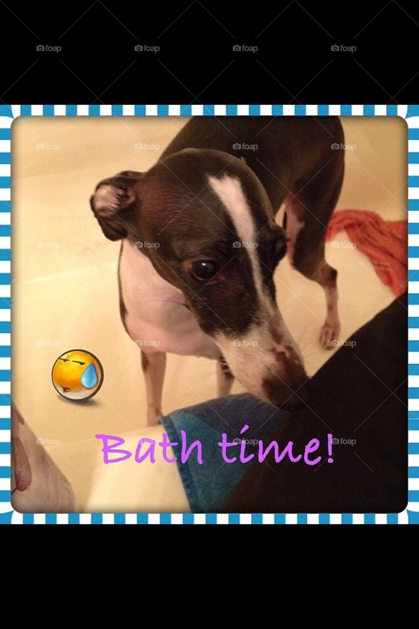 Bath Time is the Saddest Time