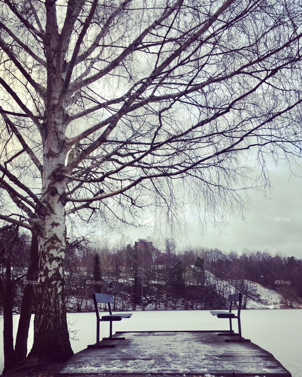 Two benches at frozen lake 