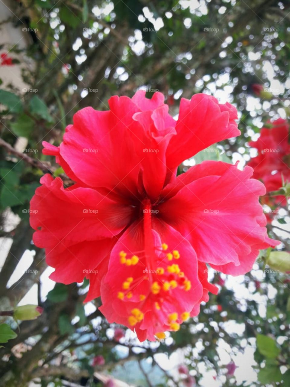 mirar más halla de lo que ves...te hace escapar de lo ordinario ,te hace ver la vida de otro color