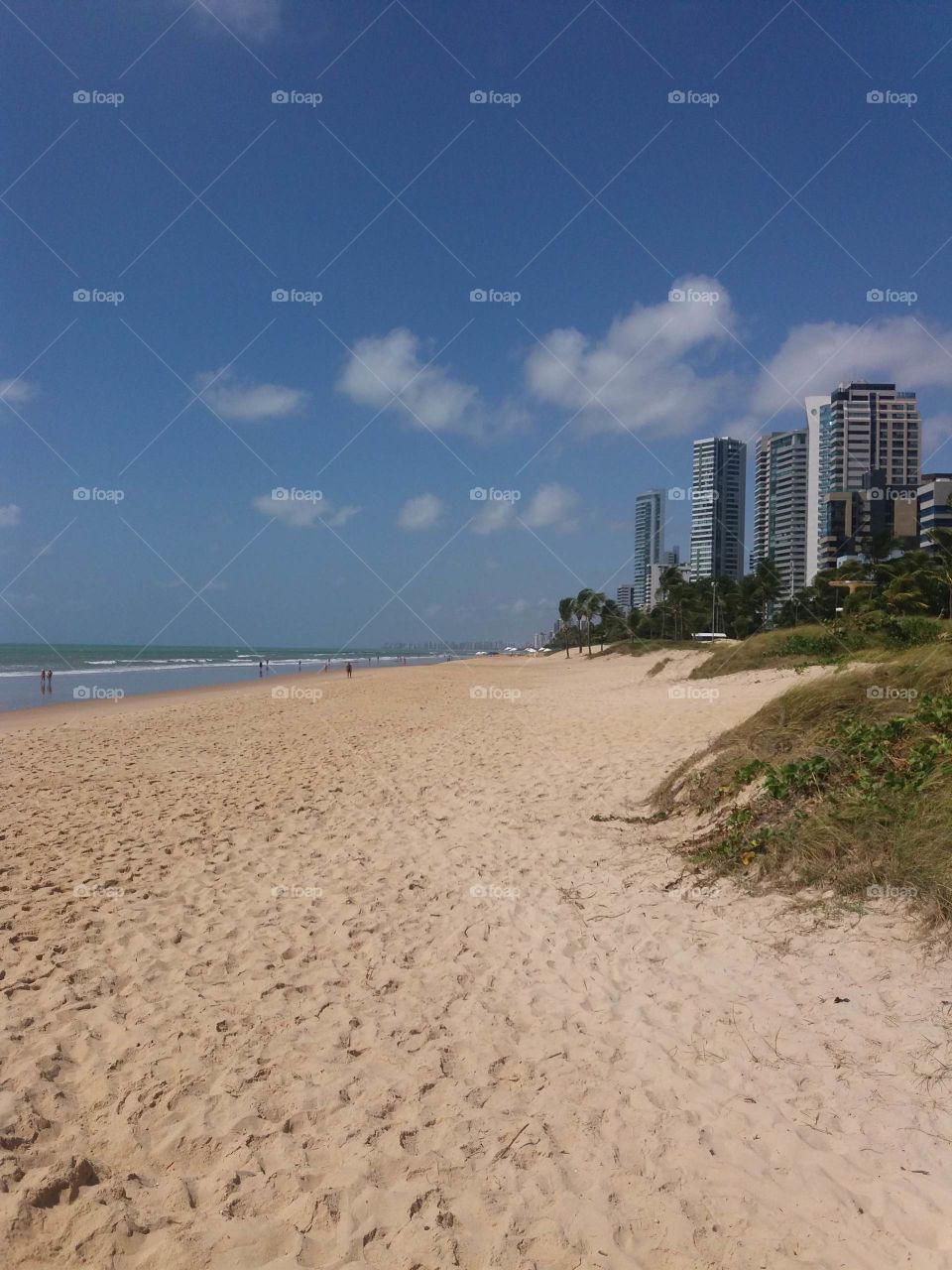 Brazilian beach