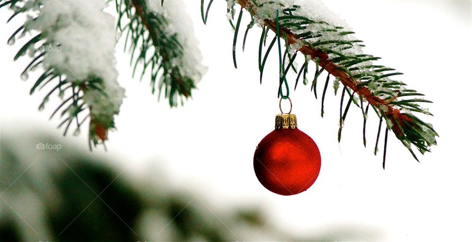 View of christmas ornament