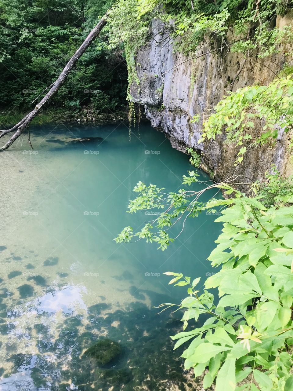 Gorgeous natural perfectly clear spring water in Ha Ha Tonka State Park in Missouri! 