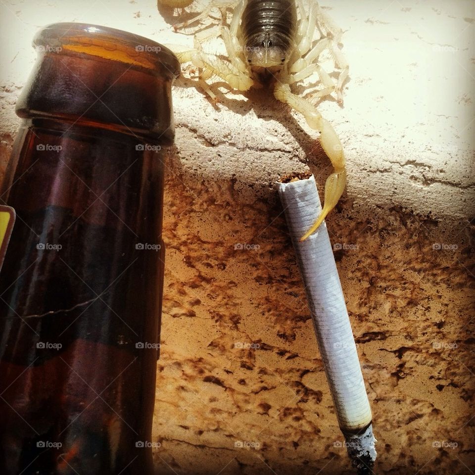 arizona beer scorpion by nrrs