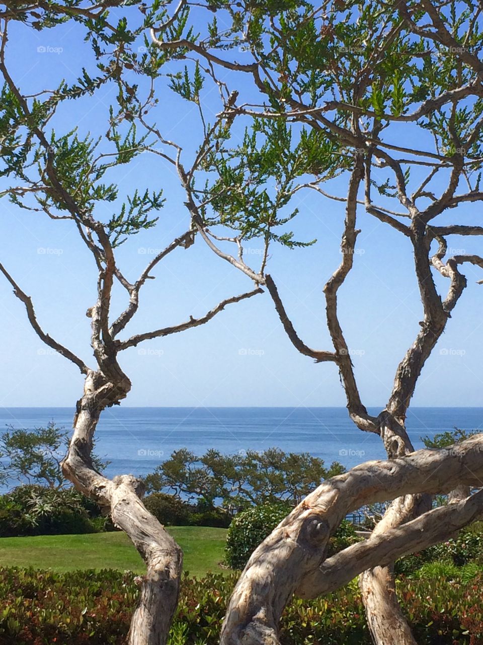 Crescent Bay Park. Crescent Bay Park