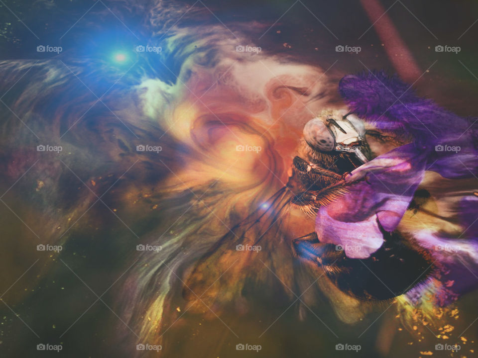 Bee universe colorful abstract photo