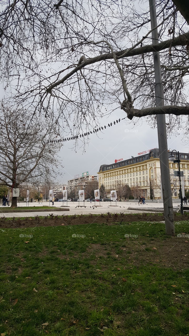 Just an ordinary day