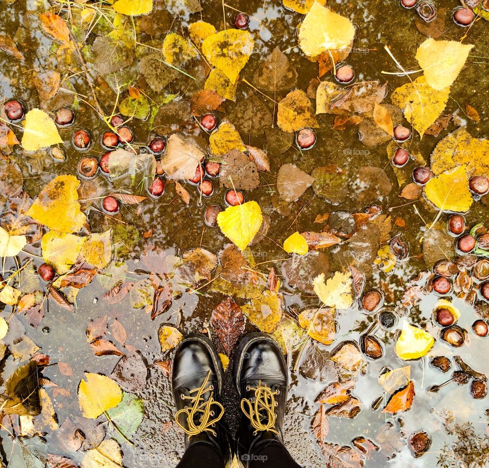 Rainy autumn day in the park