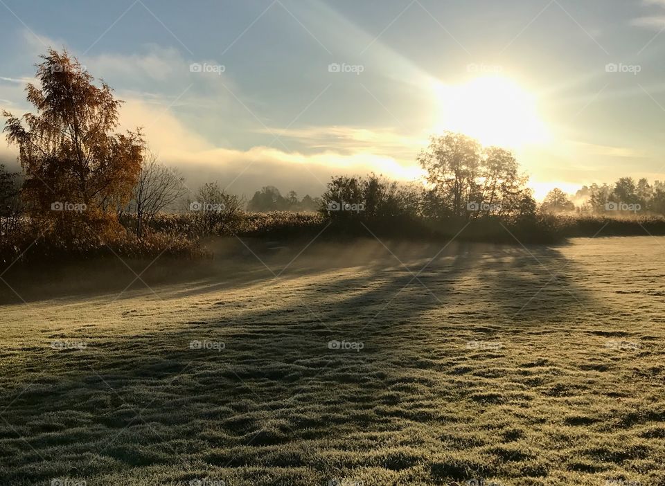 Frost and foggy morning