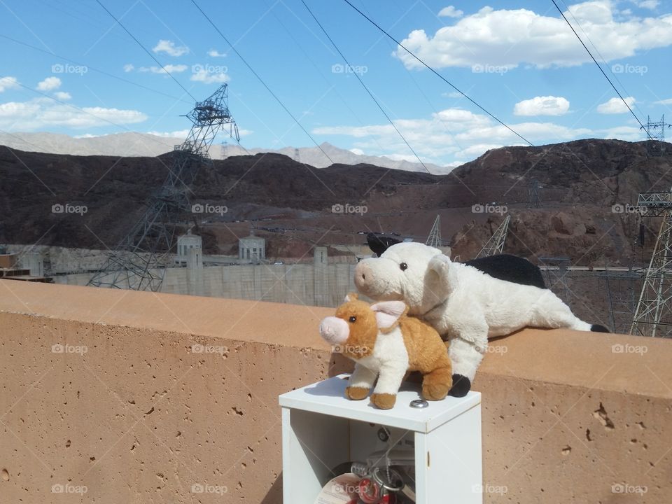 Pigglett and piggy are at hoover dam