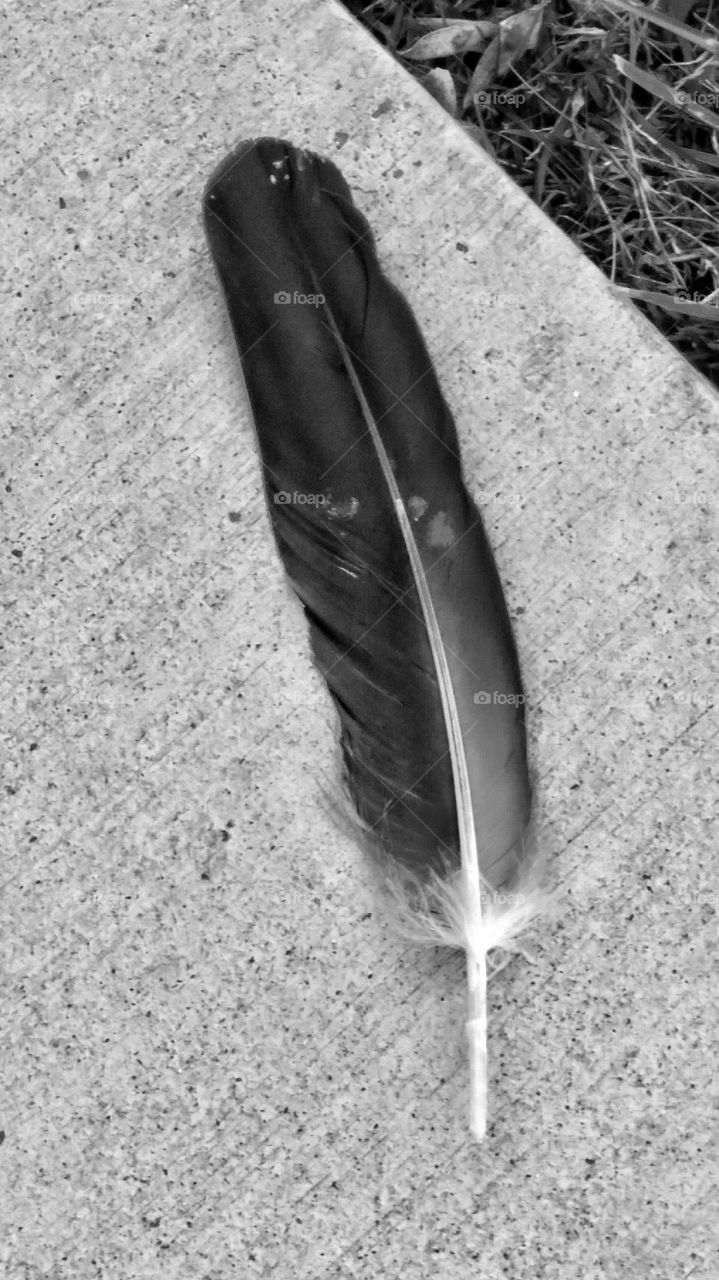 Something left behind