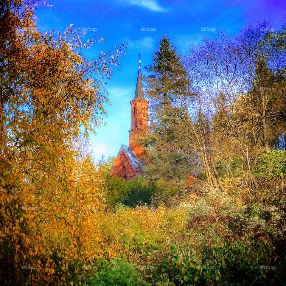 Duszniki Zdrój w parku zdrojowym