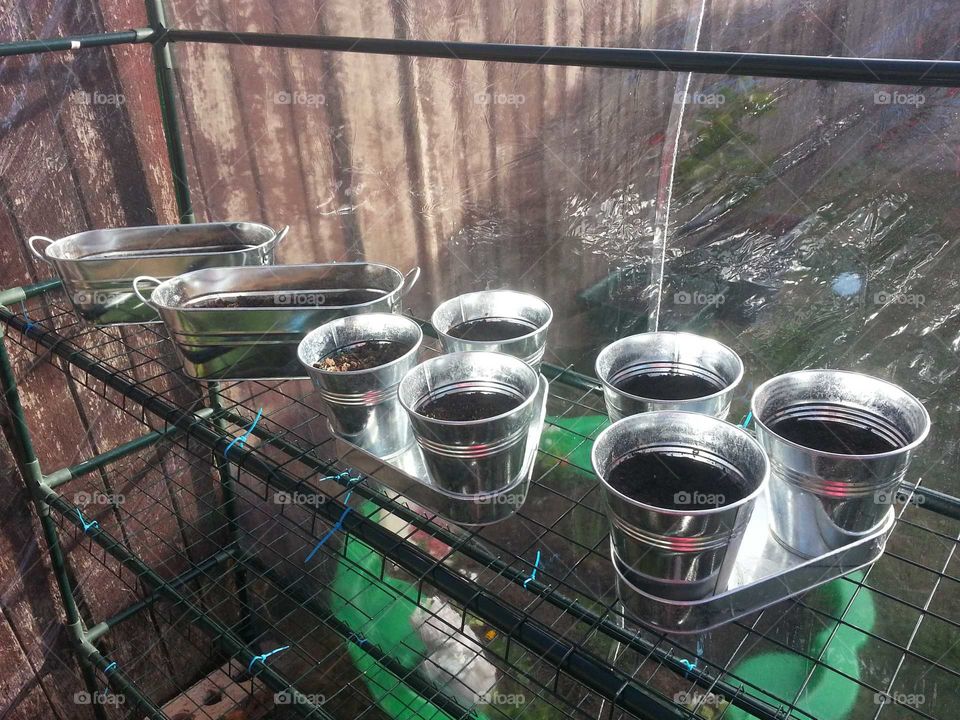 Setting the seeds in the soil. Backyard Home Garden Greenhouse.